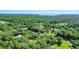 Scenic aerial view showcasing wooded properties surrounded by lush greenery at 127 Oak Ln, Ormond Beach, FL 32174
