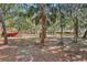 Large backyard with mature trees, wooden fence, and a shed, providing ample space and privacy at 127 Oak Ln, Ormond Beach, FL 32174