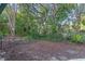 Backyard features a peaceful treeline and a black metal fence at 140 Sweet Bay Cir, Lake Mary, FL 32746