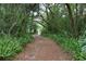 Secluded pathway leading to a house, surrounded by lush greenery and natural foliage at 1405 Periwinkle Ave, Deland, FL 32724