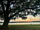 Scenic sunset view from under a large tree by the lake, offering a tranquil setting at 16729 Tall Grass Ln, Clermont, FL 34711