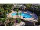 Aerial view of the community pool with palm trees, sun umbrellas, and lounge chairs at 515 Rum Run # 33515, Davenport, FL 33897