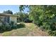 Side yard with ample green space surrounded by mature trees and lush greenery at 60 Palmetto Dr, Ormond Beach, FL 32176
