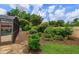 Lush backyard garden with mature landscaping and view of screened-in patio and pool at 8143 Terragona Ct, Orlando, FL 32836
