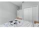Bedroom with light hardwood floors, soccer-themed bedspread, and gray walls at 13227 Spring Grove Way, Winter Garden, FL 34787