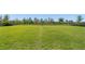 A spacious, well-maintained dog park with lush green grass at 13227 Spring Grove Way, Winter Garden, FL 34787