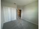 Comfortable bedroom featuring plush carpet, a spacious closet, and a view of the adjacent bathroom at 1411 Mount Royal Dr, St Cloud, FL 34771