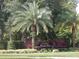 A manicured entrance to Cypress Lakes featuring lush landscaping and mature palm trees for a warm welcome at 2237 Osprey Woods Cir, Orlando, FL 32820