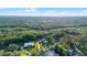 Aerial image depicting homes surrounded by trees and near a lake, displaying the community's natural charm at 2487 River Tree Cir, Sanford, FL 32771