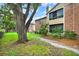 Brick building with large shade tree and path with green grass at 5545 Devonbriar Way # 206, Orlando, FL 32822