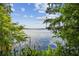 Scenic lake view framed by lush greenery, providing a serene and picturesque backdrop at 13427 Blue Heron Beach Dr # 404, Orlando, FL 32821