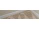 Close up of carpet flooring at 1740 Standing Rock Cir, Oakland, FL 34787