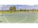 Outdoor basketball court featuring well-maintained green surface, hoops, and a soccer goal in a grassy field setting at 1809 Tropical Palms Cir, Kissimmee, FL 34747
