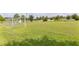 Spacious soccer field with lush green grass and clear goals, ideal for recreational play in a community at 1809 Tropical Palms Cir, Kissimmee, FL 34747