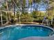 Inviting screened-in pool area with lounge chairs, lush landscaping, and clear blue water at 19430 Sw 100Th Loop, Dunnellon, FL 34432