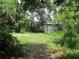 Overgrown backyard with lush greenery, mature trees, and an outbuilding at 4231 Raleigh St, Orlando, FL 32811
