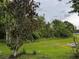 View of backyard with mature trees and tropical foliage at 1639 Corner Meadow Cir, Orlando, FL 32820