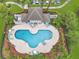 Bird's eye view of community pool with lounging area, surrounded by tropical landscaping at 2311 Chatham Place Dr, Orlando, FL 32824