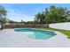 Backyard pool offers a cool escape with ample concrete decking and a backdrop of mature trees at 7440 Houston E Ct, Winter Park, FL 32792