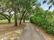 Gravel driveway lined with mature trees, creating a picturesque and private entrance to the property at 2193 County Road 204, Oxford, FL 34484