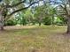 Expansive front yard with mature trees and natural landscaping, providing a serene and private setting at 2193 County Road 204, Oxford, FL 34484