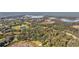 Expansive aerial view showcases the lush, tree-filled landscape with a charming pond and nearby lake at 26586 Se Highway 42, Umatilla, FL 32784