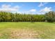A well-maintained backyard features healthy green grass and thick bamboo for added privacy at 1597 Katie Cv, Sanford, FL 32771