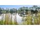 Scenic view of a calm pond surrounded by lush greenery and cattails, creating a serene natural landscape at 172 Clear Lake Cir, Sanford, FL 32773