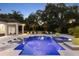 Luxurious backyard pool area with lounge chairs, mature landscaping, and a trampoline in the distance, perfect for relaxation at 3428 Chaine Du Lac Blvd, Windermere, FL 34786