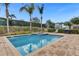 Captivating pool and spa area surrounded by lush landscaping and swaying palm trees at 7524 Marker Ave, Kissimmee, FL 34747