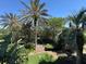Lush backyard featuring a mix of palm trees, tropical plants, and well-manicured landscaping at 7651 Whisper Way # 201, Kissimmee, FL 34747