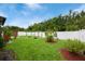 A large backyard with green grass and trees at 2625 Eagle Cliff Dr, Kissimmee, FL 34746