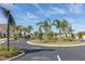 Well-maintained community street surrounded by lush landscaping and an inviting atmosphere at 3203 Oyster Ln, Kissimmee, FL 34747