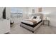 Guest bedroom with neutral decor, plush carpet, and accent pillows on the bed at 7033 Oakwood St, Davenport, FL 33837
