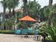 Outdoor patio with seating, an umbrella, and palm trees at 7350 Westpointe Blvd # 234, Orlando, FL 32835