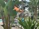 Relaxing community pool area with chairs, tables, orange umbrellas and landscaping at 7350 Westpointe Blvd # 234, Orlando, FL 32835
