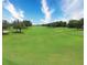 Expansive view of the golf course showcasing the green and surrounding trees at 9061 Dogleg Dr, Davenport, FL 33896