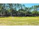 Community soccer field with lush green grass, tall trees, and homes in the background at 13055 Overstreet Rd, Windermere, FL 34786
