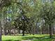 Lush green yard with mature trees providing shade and privacy to homes at 13055 Overstreet Rd, Windermere, FL 34786