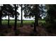 Scenic view of a lush golf course through the trees at 3426 Schoolhouse Rd, Harmony, FL 34773