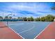 A blue basketball court with red borders and neatly trimmed perimeter landscaping, perfect for outdoor games at 10836 Tilston Pt, Orlando, FL 32832