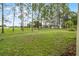 Expansive backyard with tall trees, offering privacy and plenty of room to roam at 142 Stonegate Pass, Davenport, FL 33897