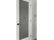 Charming frosted glass pantry door with a decorative floral design at 142 Stonegate Pass, Davenport, FL 33897