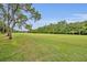 Lush green grass yard, with trees at 1507 Golfside Dr, Winter Park, FL 32792