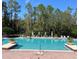 Beautiful community pool surrounded by lush landscaping and ample seating at 15483 Avenue Of The Arbors, Winter Garden, FL 34787