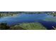Scenic lake view of the community featuring lush foliage and lily pads along the shoreline at 15483 Avenue Of The Arbors, Winter Garden, FL 34787