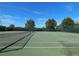 Well-maintained community tennis courts with green surface and surrounding trees at 15483 Avenue Of The Arbors, Winter Garden, FL 34787