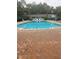 Community pool with lounge chairs and tall trees at 4830 S Conway Rd # 40, Orlando, FL 32812