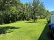 Lush green backyard lined by mature trees, creating a private oasis at 11187 Savannah Landing Cir, Orlando, FL 32832