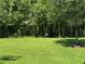 Spacious backyard with lush green grass surrounded by trees at 11187 Savannah Landing Cir, Orlando, FL 32832